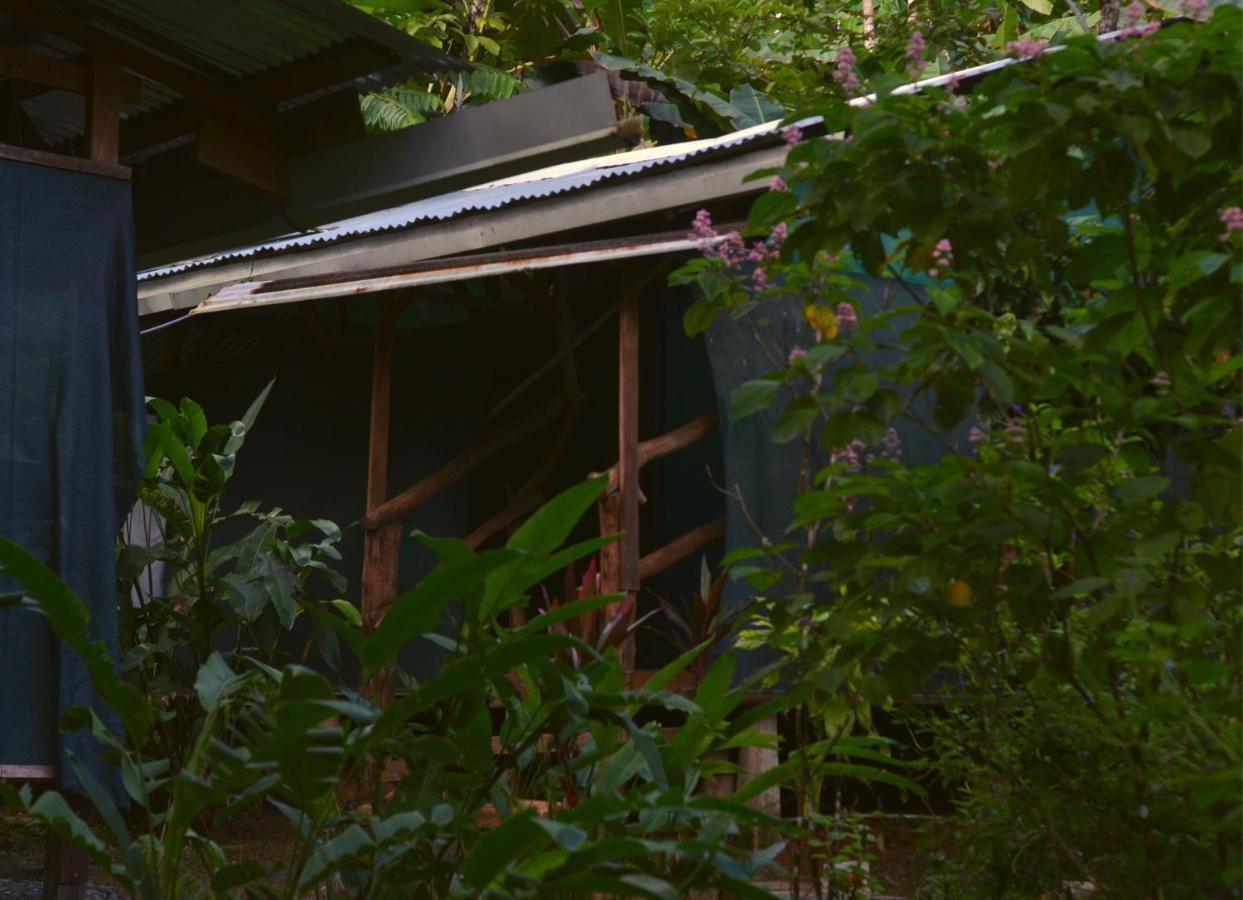 Corcovado Guide House Otel Barrigones Dış mekan fotoğraf