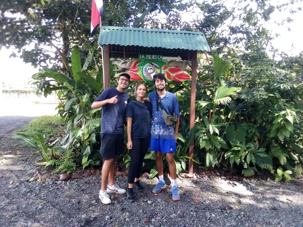 Corcovado Guide House Otel Barrigones Dış mekan fotoğraf